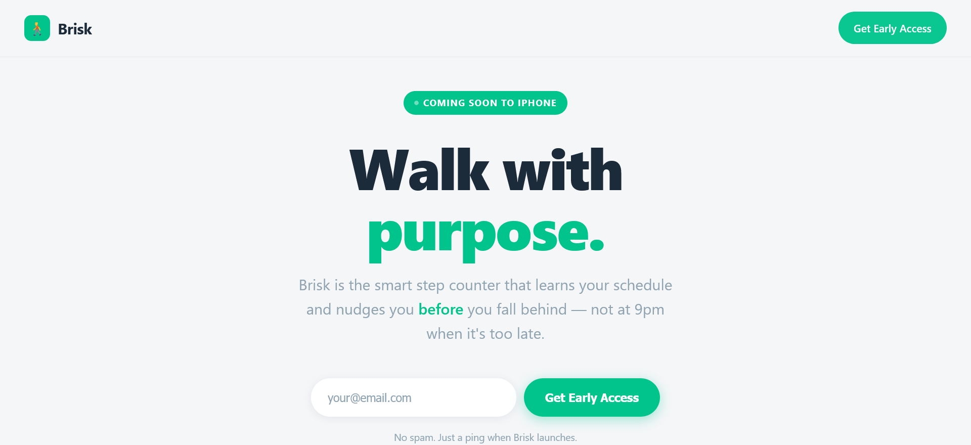 Brisk website screenshot